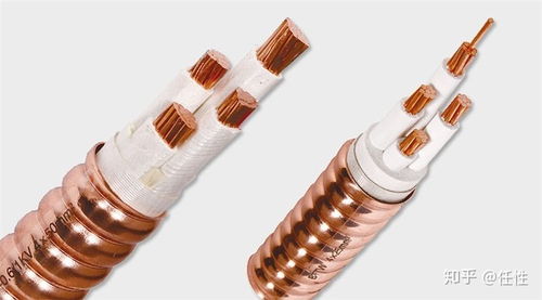 特种电缆与普通电缆 性能与应用领域的核心差异