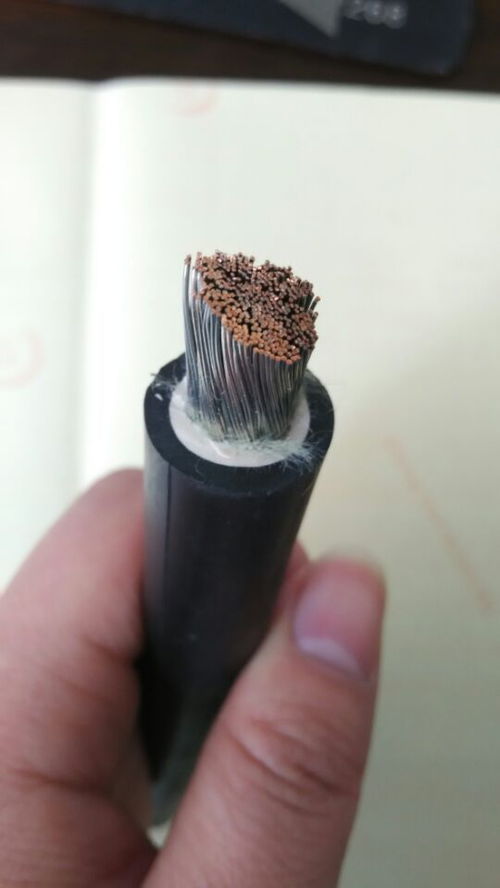 聚焦电力建设 1kV铝芯架空线及特种电缆的技术发展与市场动态